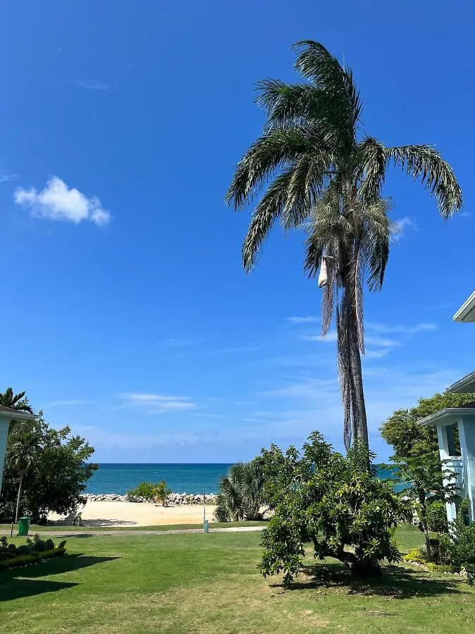 Prázdninový dům Stunning 2 Bedroom House At Point Village Negril
