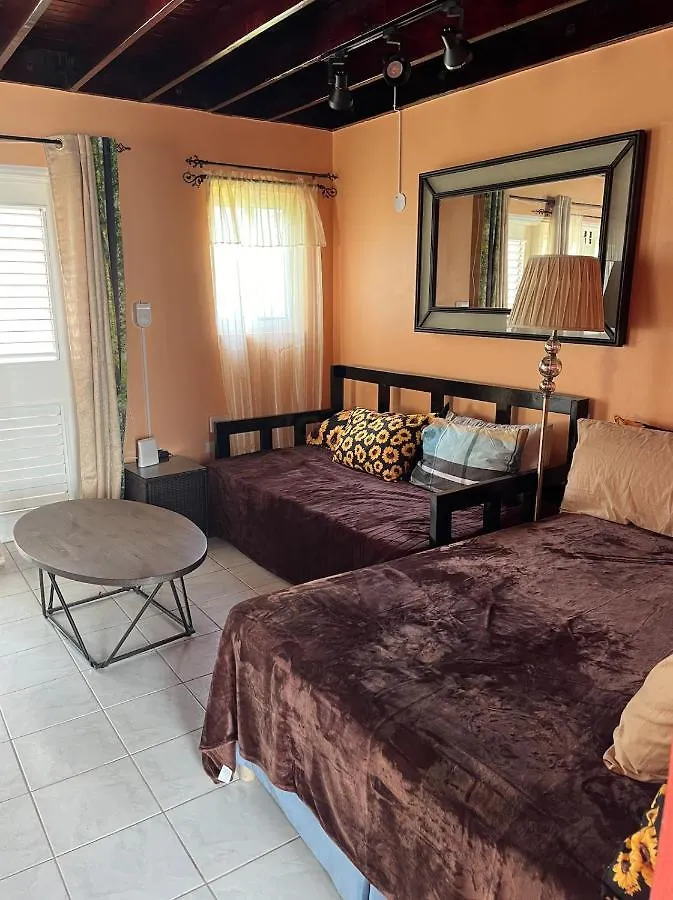 Stunning 2 Bedroom House At Point Village Negril Prázdninový dům